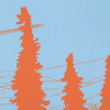 tinymeat-orange-blaze-passport