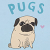 tinymeat-pugs-not-drugs-passport