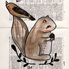 trish-grantham-squirrel-and-bird-print