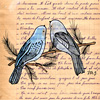 trish-grantham-two-birds-print