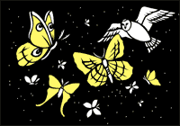 butterflies