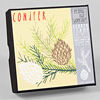 yellow-owl-conifer-stamp-box